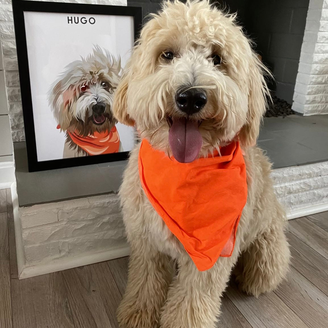 Custom Pet Portrait